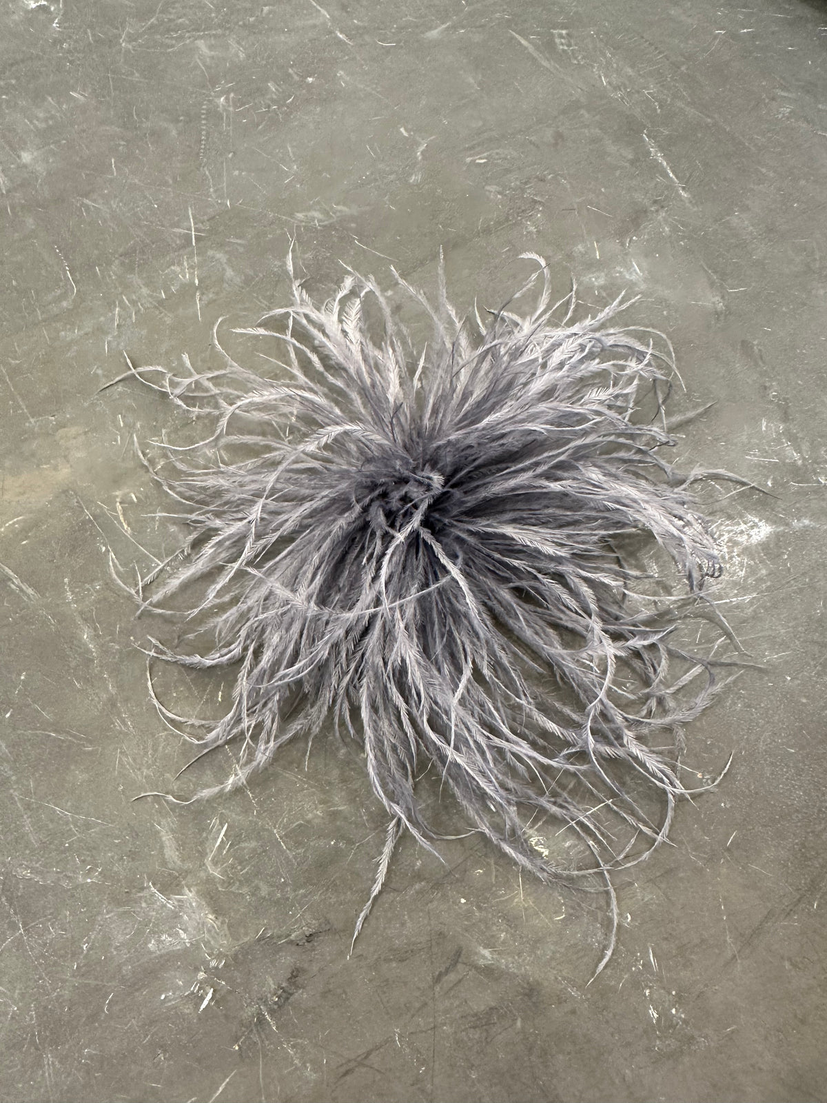 Spilla Plumage