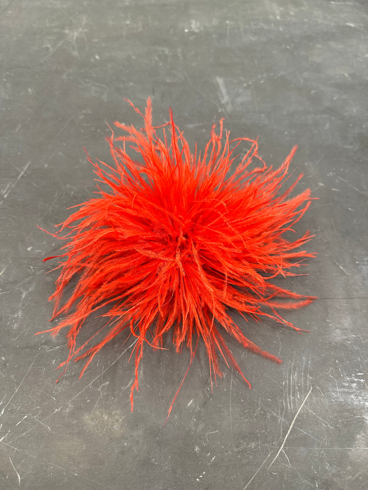 Spilla Plumage