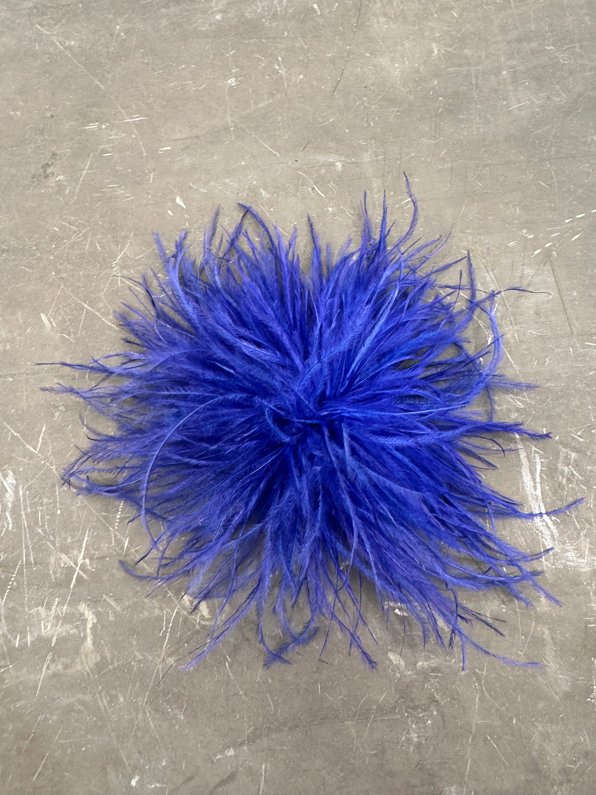 Spilla Plumage