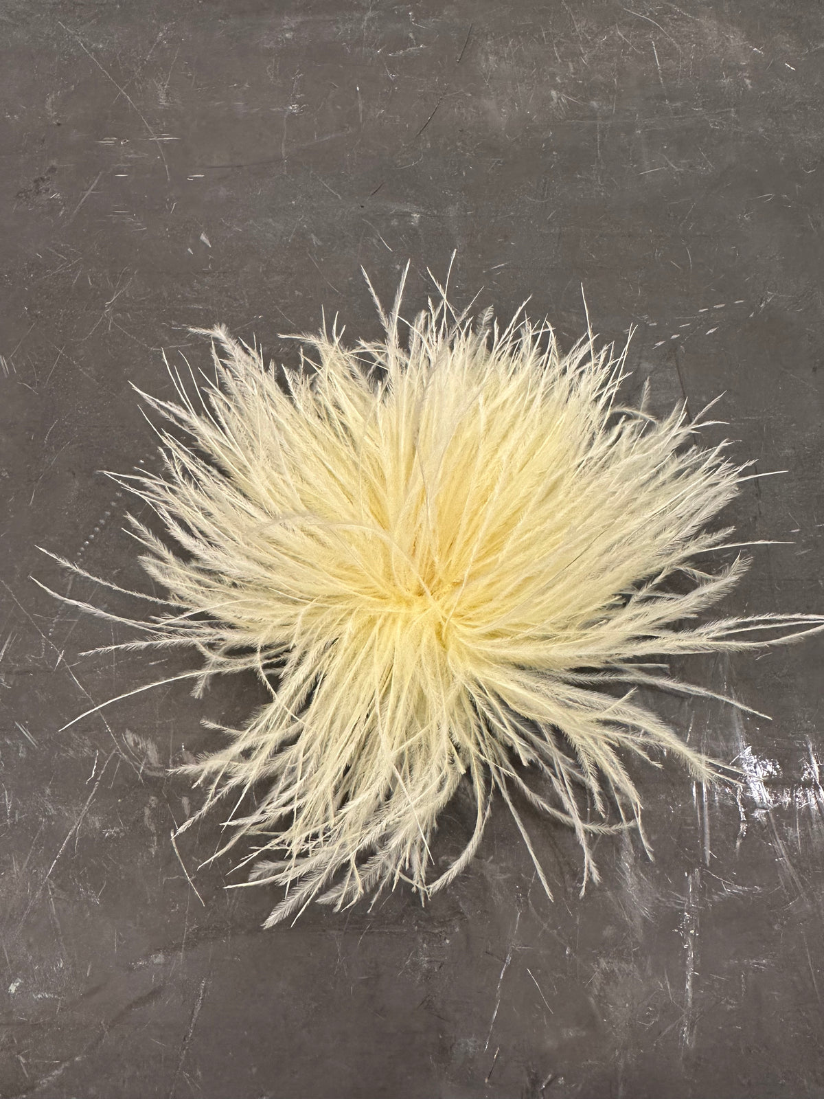 Spilla Plumage