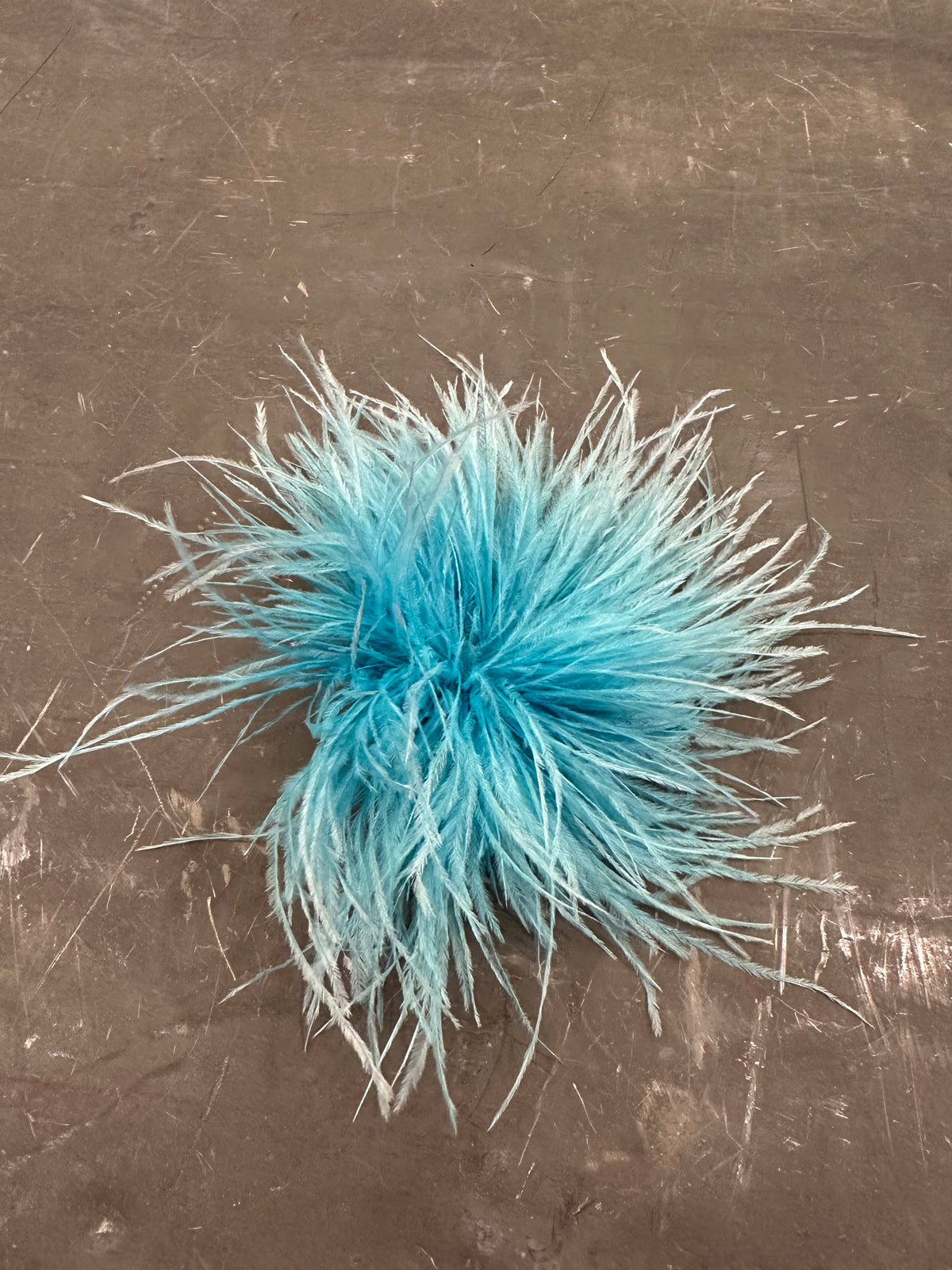 Spilla Plumage