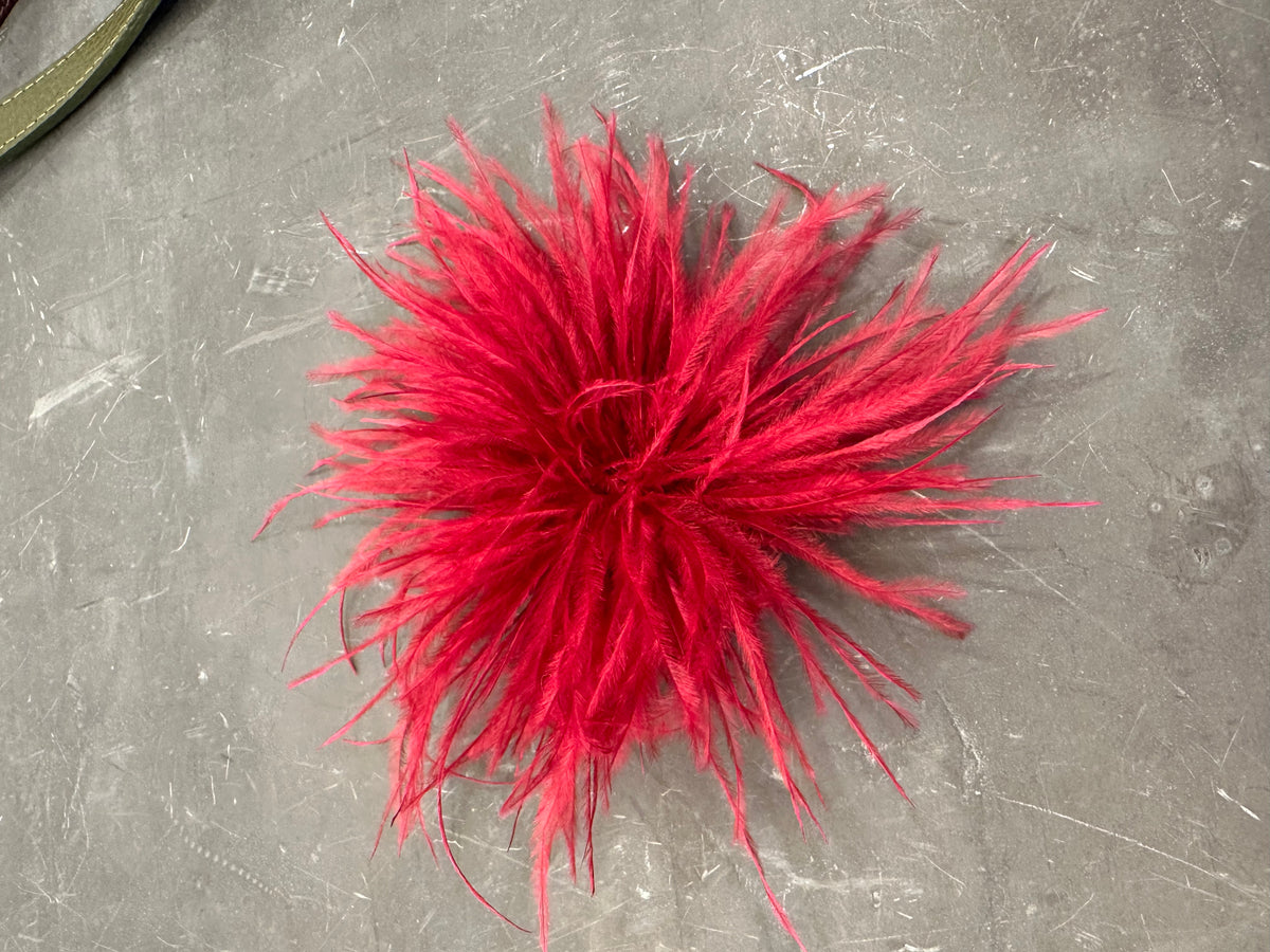 Spilla Plumage