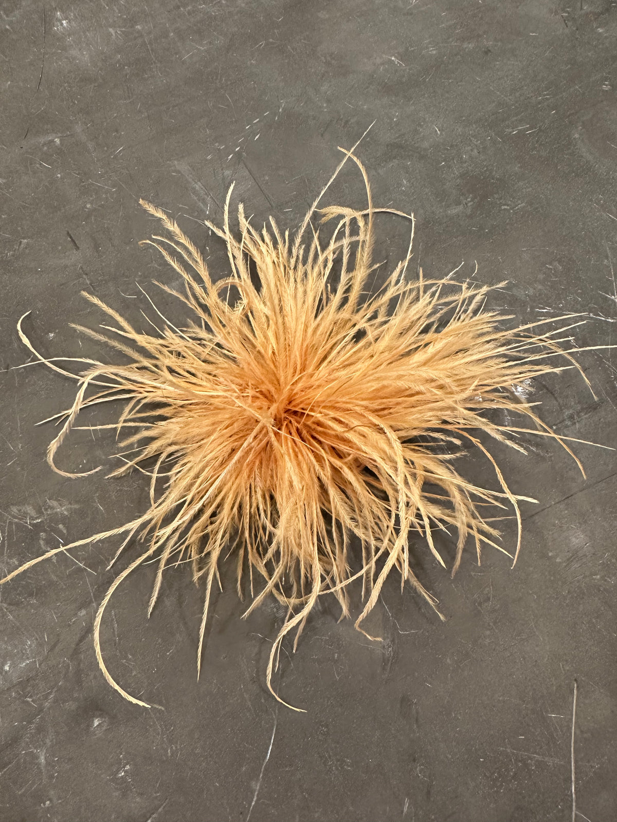 Spilla Plumage