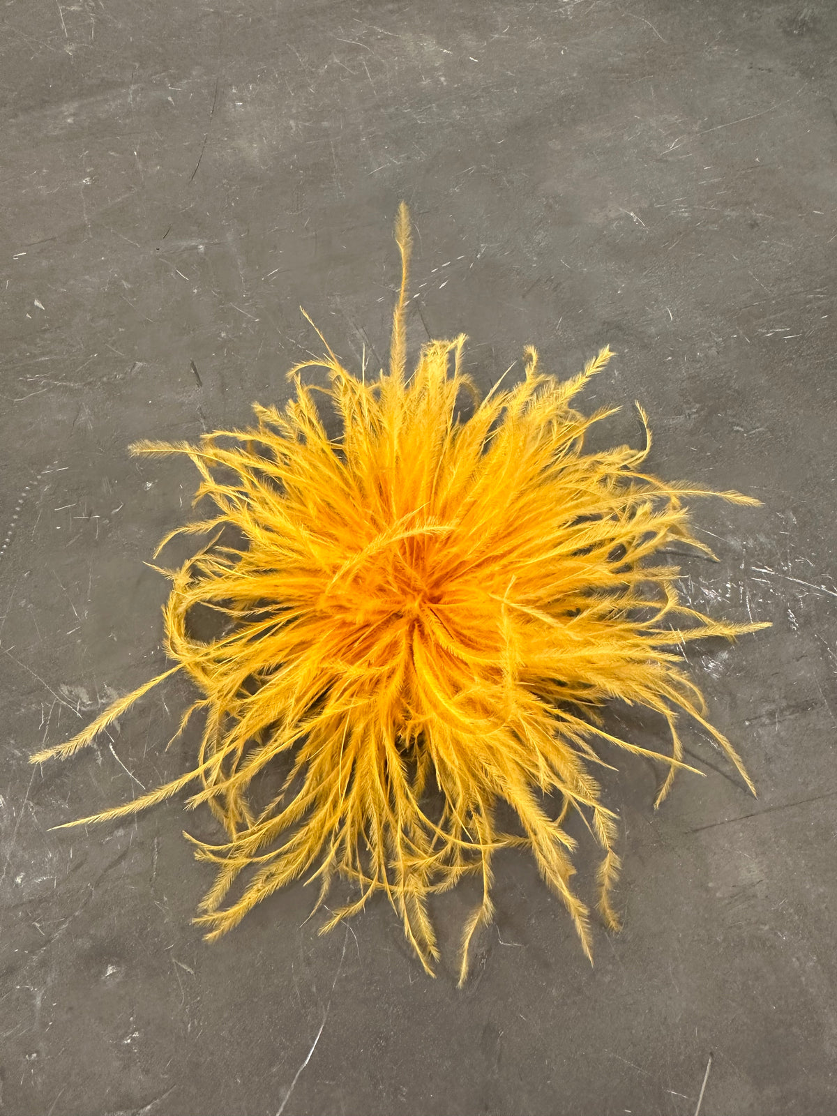 Spilla Plumage