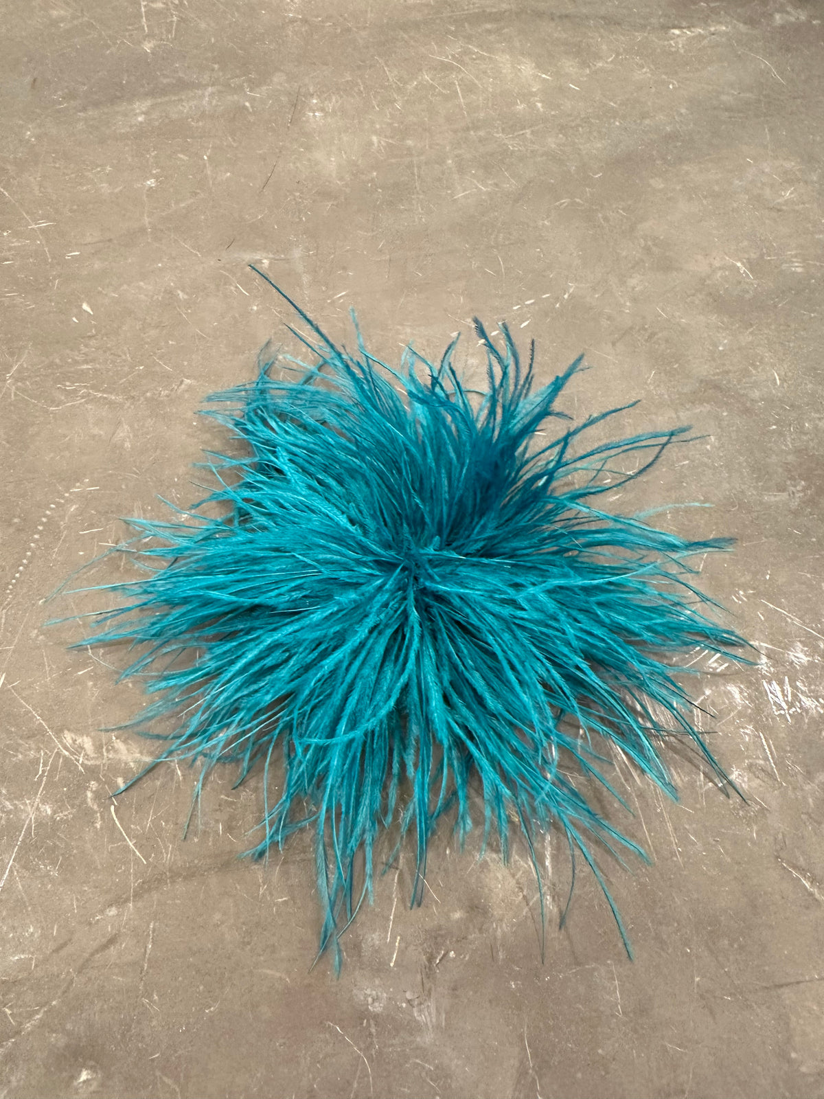 Spilla Plumage