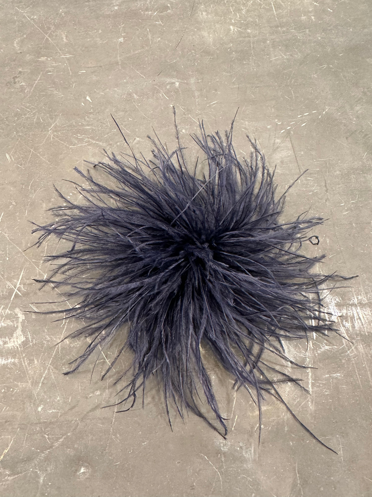 Spilla Plumage