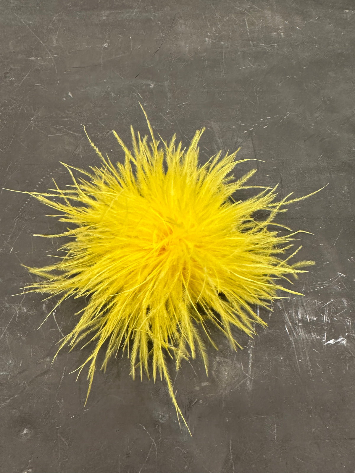 Spilla Plumage