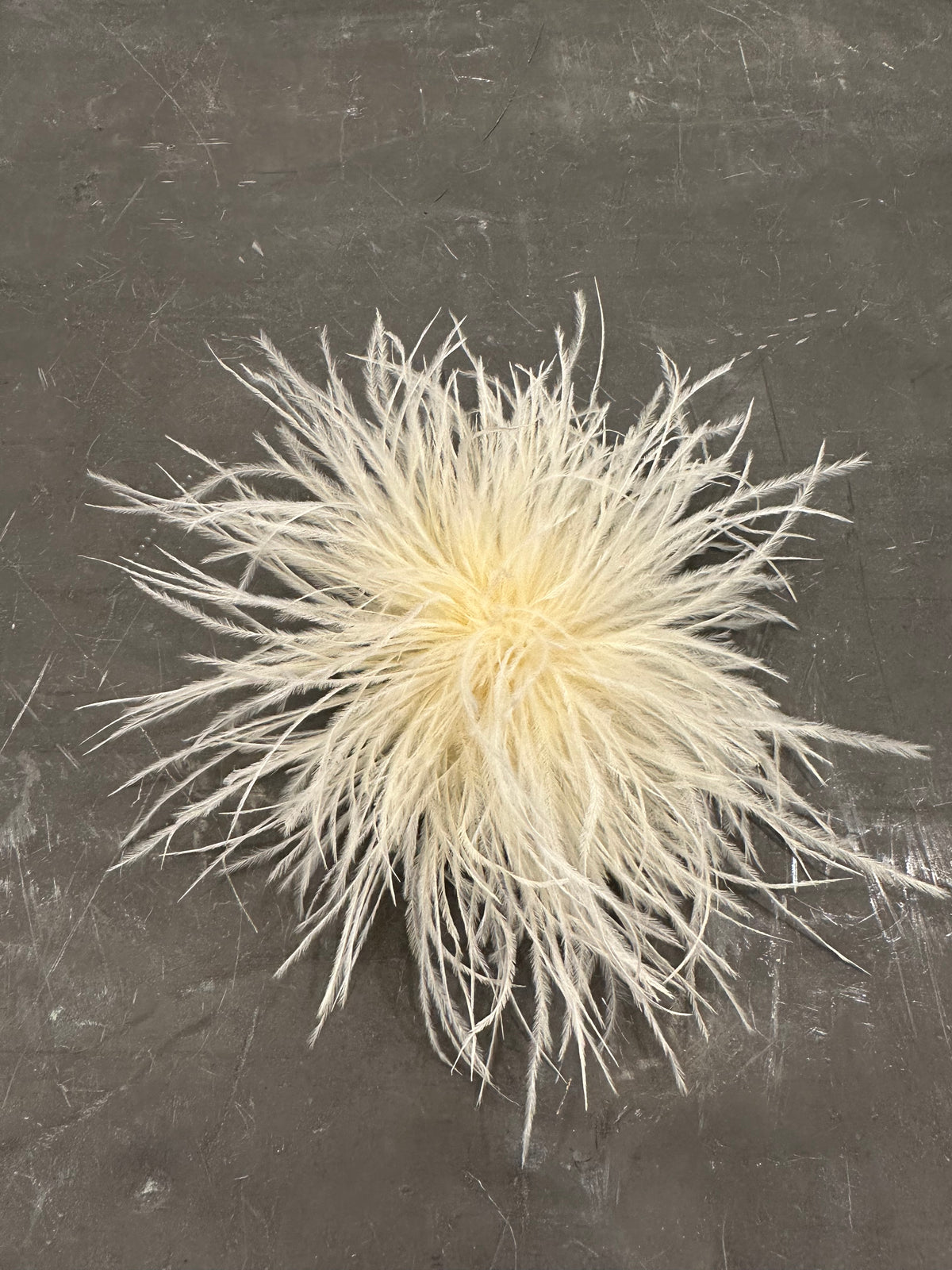 Spilla Plumage