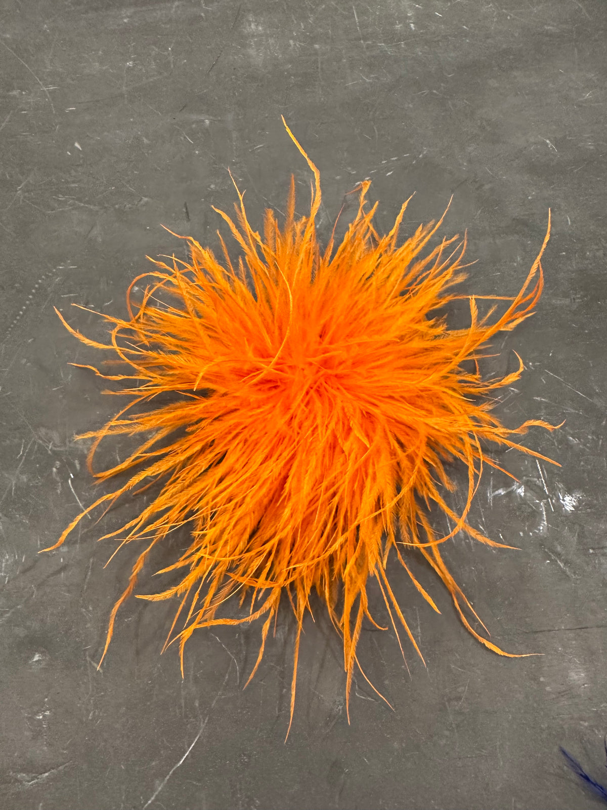 Spilla Plumage