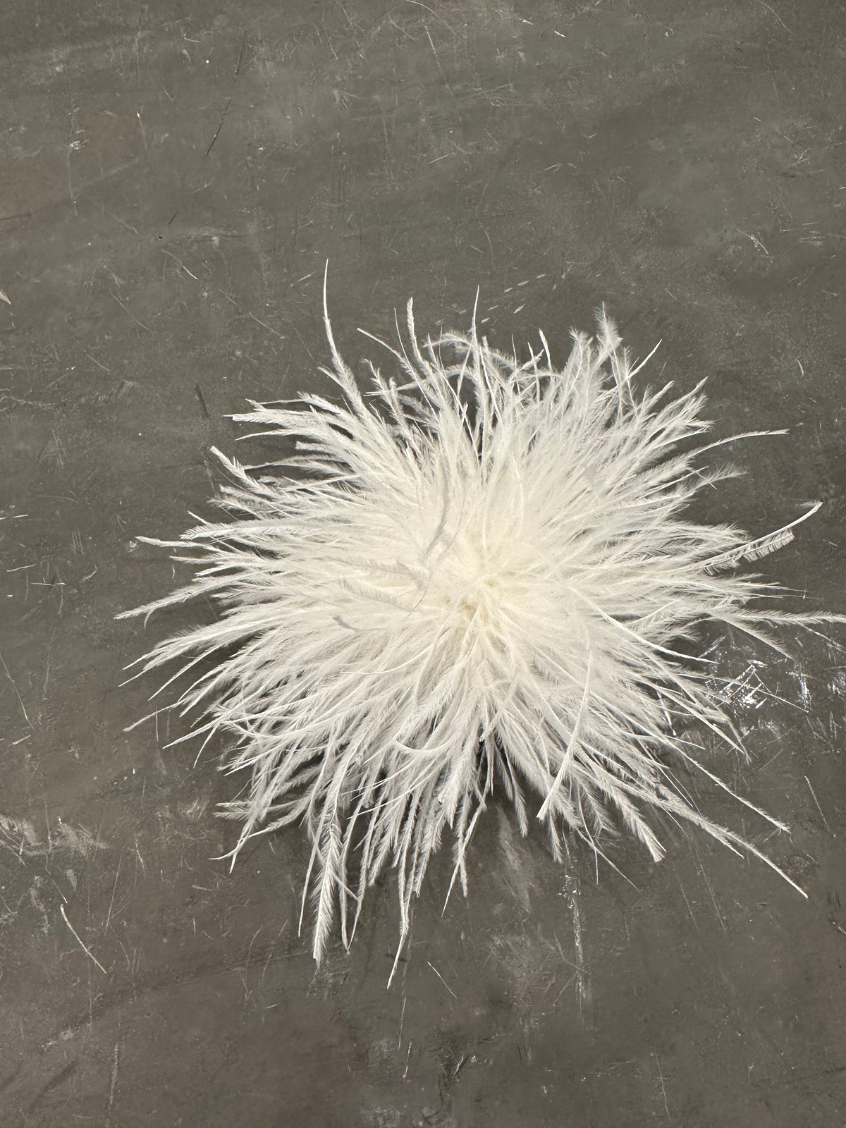 Spilla Plumage