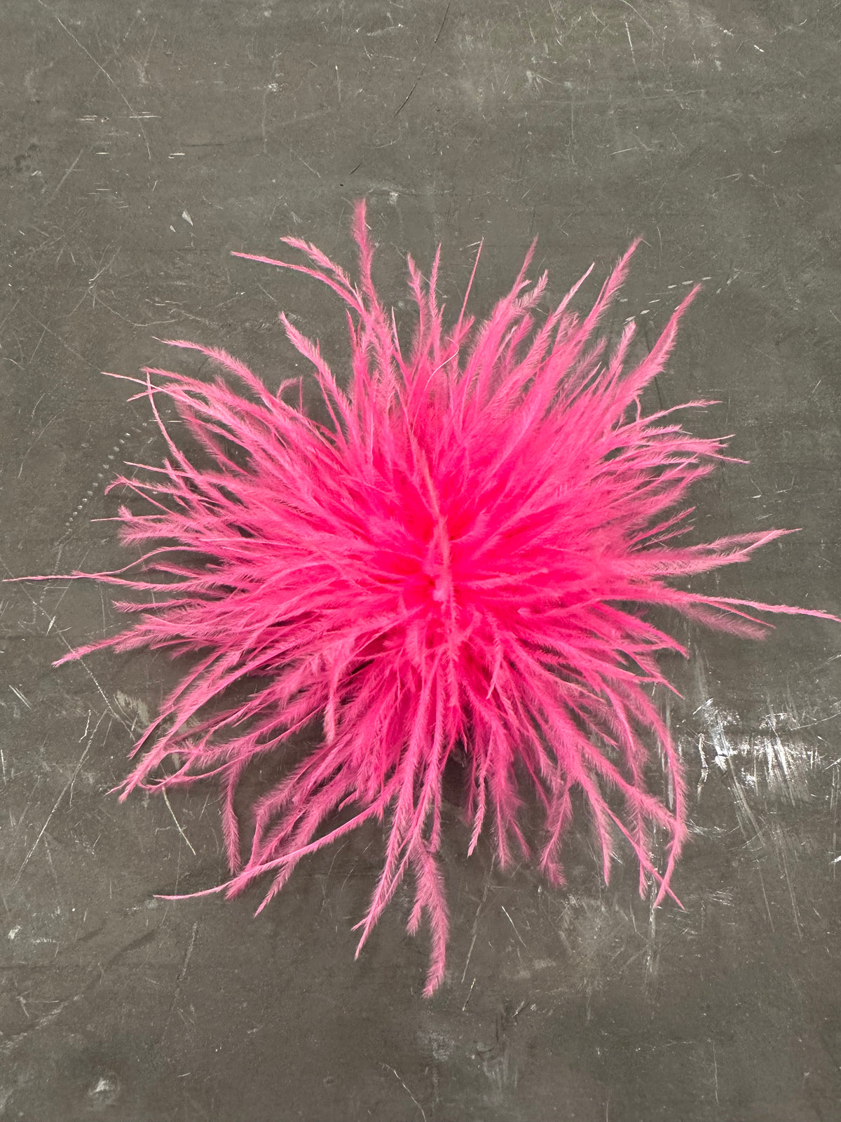 Spilla Plumage