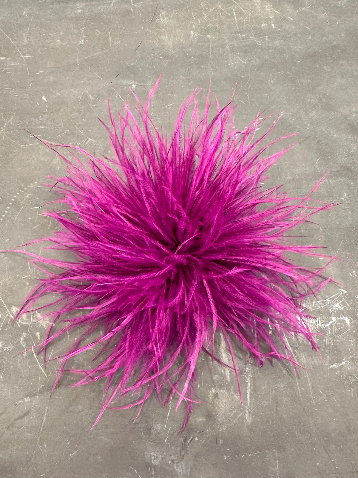 Spilla Plumage