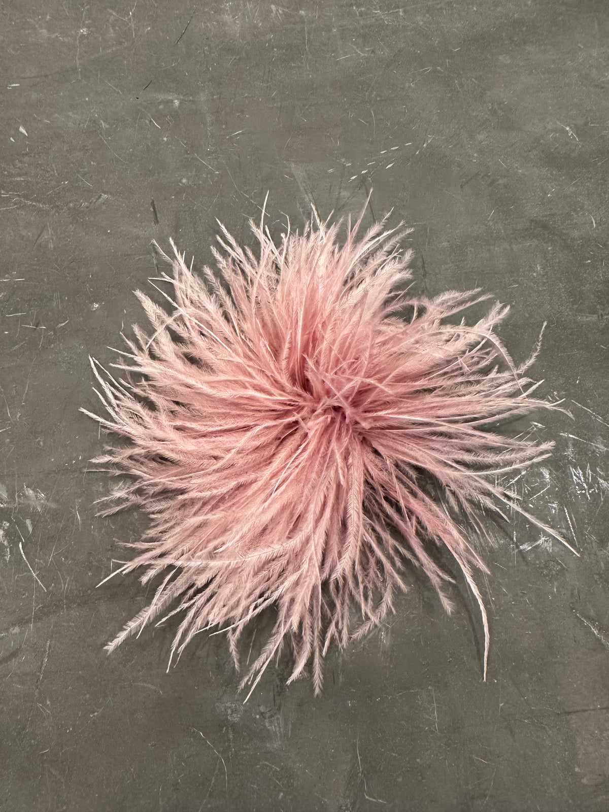 Spilla Plumage