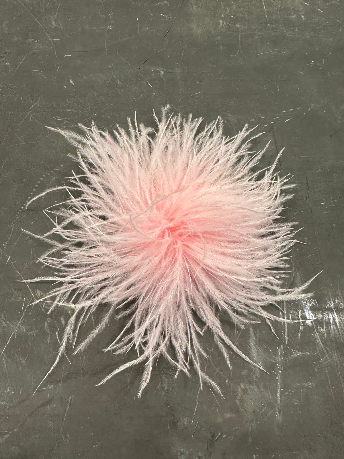 Spilla Plumage