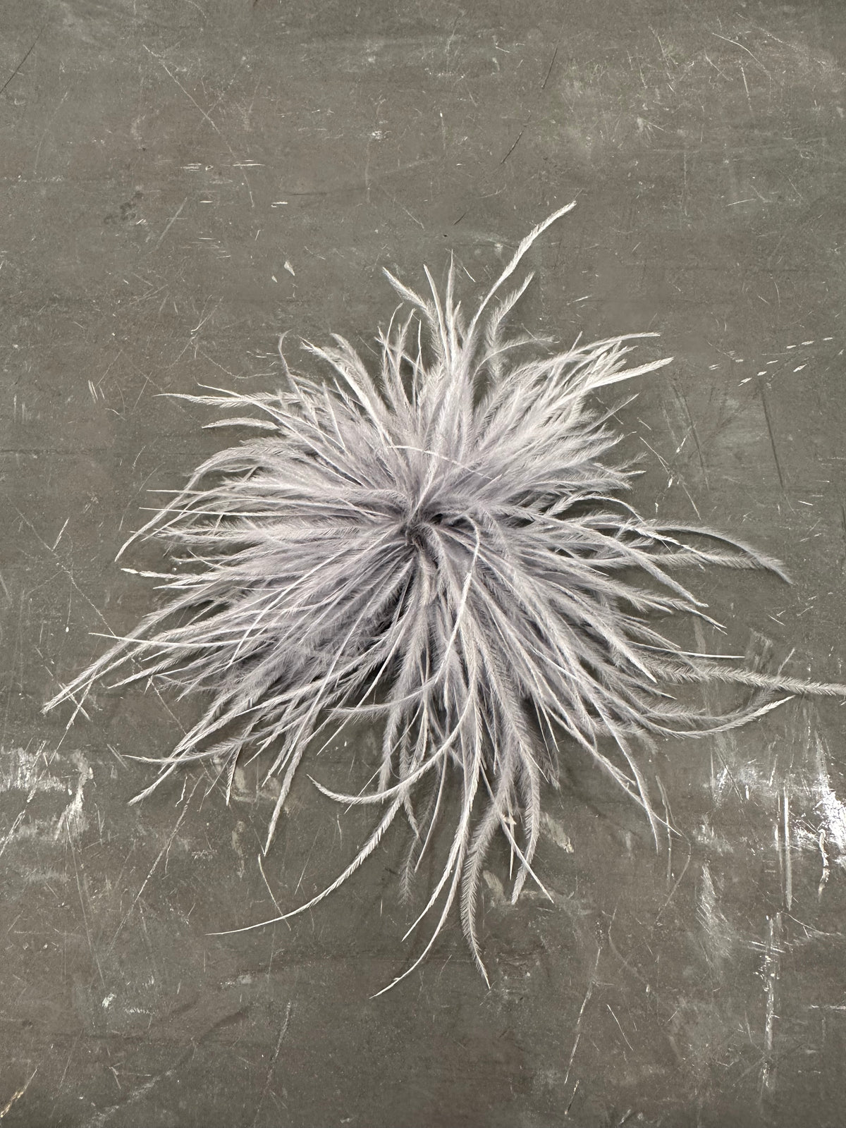 Spilla Plumage
