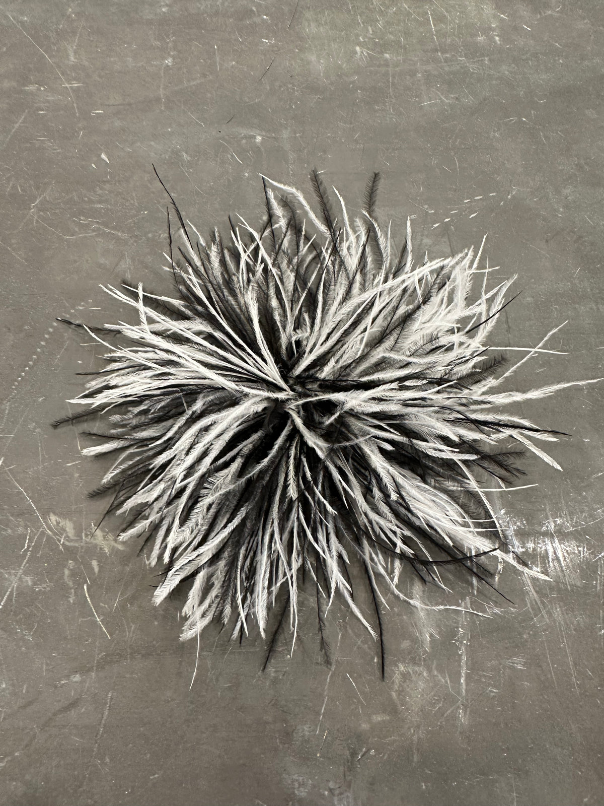 Spilla Plumage